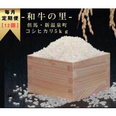 ふるさと納税 新温泉町 【毎月定期便】和牛の里-但馬・新温泉町 コシヒカリ 精米5kg全12回