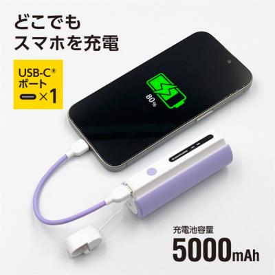 ふるさと納税 川崎市 LEDライト付きモバイルバッテリー 5000mAh(バイオレット)TL98CV |  | 01