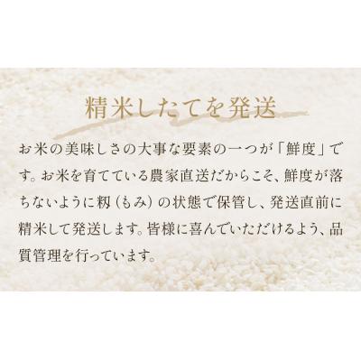 ふるさと納税 石巻市 <先行受付> 令和8年産 定期便 精米 60kg (10kg×6回発送) コシヒカリ 新米 |  | 01