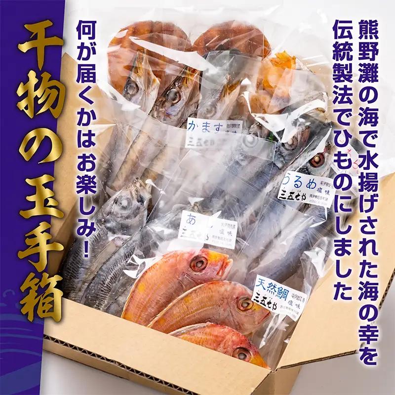 冷凍 ひもの 干物 3～5種 500g 以上 お任せ セット 天日干し / ひもの