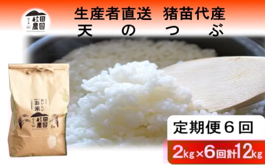 【定期便 6回】【令和7年度産】 米 天のつぶ 12kg(2kg×6回) 白米 精米 | 米 こめ ごはん 2キロ 国産米 ブランド米 福島県産 農家直送 産地直送 生産者直送 杉田農園  一人暮らし 家庭用 小分け 精米済み 猪苗代町