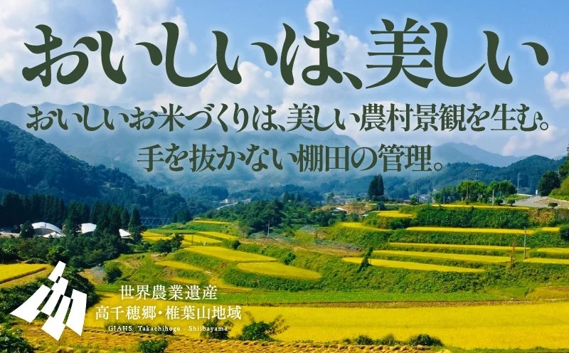 《令和7年産　新米》【6か月定期便】13代目甲斐長衛門が選び抜いた高千穂産ひのひかり　長衛門米5㎏×6回| 長衛門米 ヒノヒカリ お米 精米 白米 米 白ご飯 ごはん おにぎり おむすび 米袋 農作物