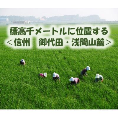 ふるさと納税 御代田町 【信州そば三昧】3種食べ比べAセット24人前(250g×8袋) |  | 03