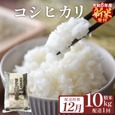 ふるさと納税 石巻市 【12月配送】 <先行受付> 米 令和8年産 コシヒカリ 精米 10kg 単品 新米 こめ コメ