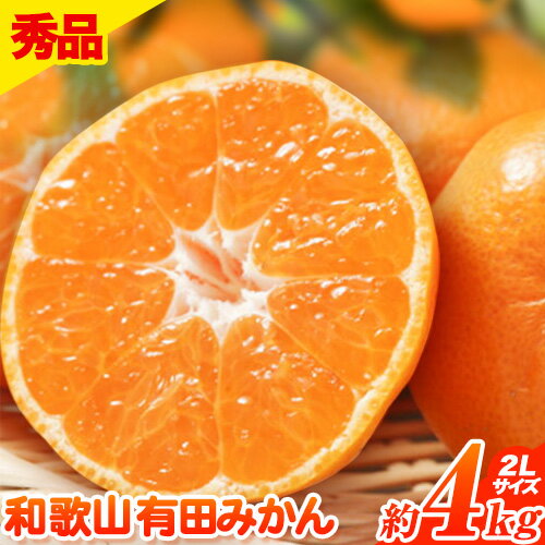 【ふるさと納税】秀品 和歌山有田みかん 約4kg(2Lサイズ) 厳選館《2025年11月中旬-1月末頃出荷》 和歌山県 日高町 みかん 有田みかん 柑橘 フルーツ