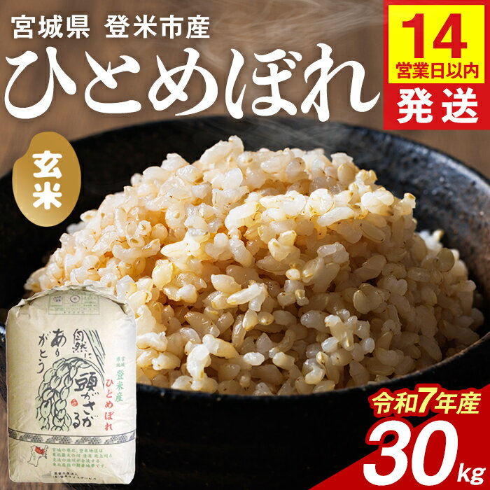 【ふるさと納税】【14営業日以内に発送予定】≪令和7年産≫ ひとめぼれ 玄米 30kg 登米市産 お米 おこめ 米 コメ ご飯 ごはん おにぎり お弁当 【登米ライスサービス株式会社】tm142