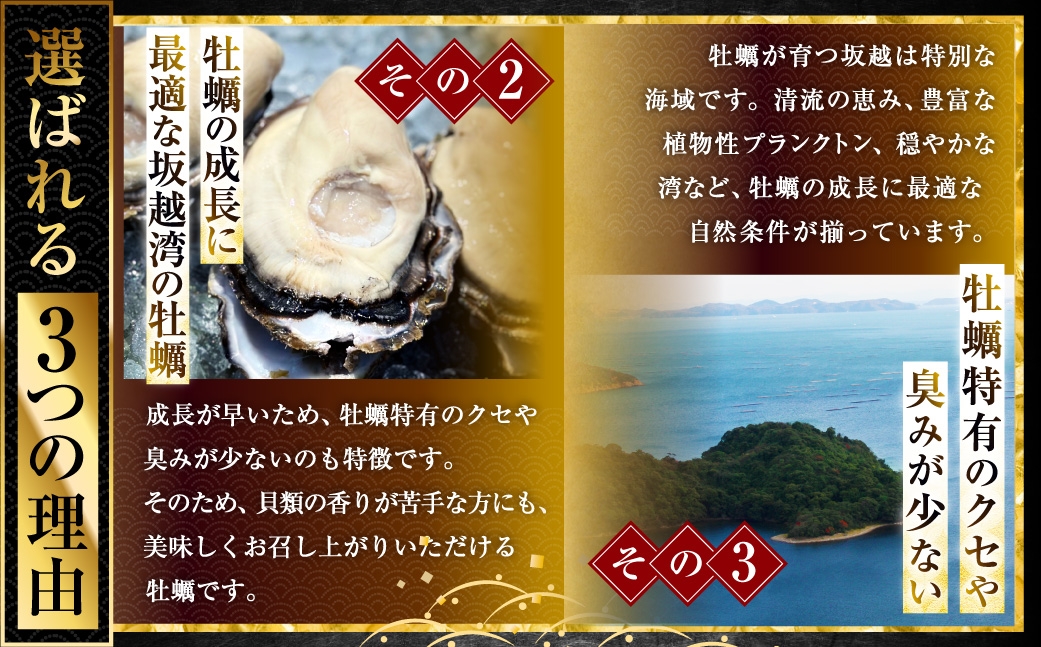 サムライゴールド坂越産殻付き生牡蠣50個