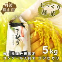 【ふるさと納税】【予約】令和7年産　お米　コシヒカリ　丹波篠山産　じっくり精米5kg | 兵庫県 丹波篠山市 白米 100％単一原料米 産地直送米 贈答 おいしい お米 精米 コシヒカリ ブランド おこめ 健康 ギフト 内祝い 贈り物 送料無料 おすすめ 人気 口コミ