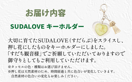 開運巣立すだち）御守とSUDALOVEキーホルダーのセット お守り すだち 徳島 ギフト 就職 結婚