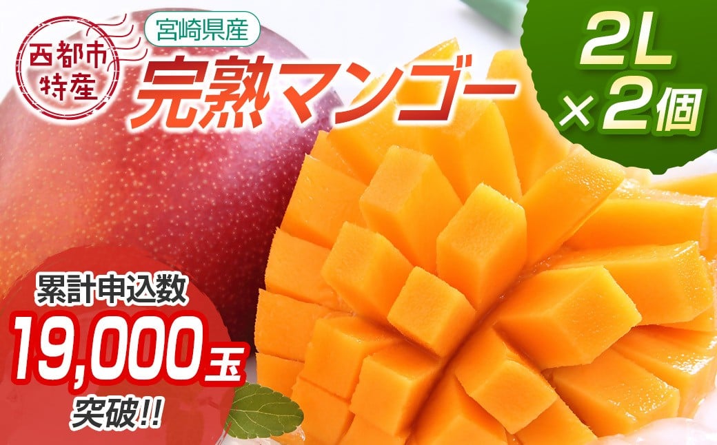 
                  宮崎県西都市産完熟マンゴー2L×2個 西都市特産品 ＜1.2-39＞宮崎完熟マンゴー 果物 フルーツ 甘い【先行予約】2026年発送 
                