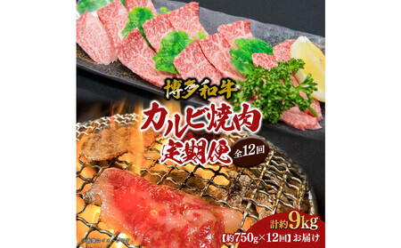 博多和牛　カルビ焼肉（バラ）定期便全12回（約750g×12回）