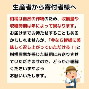 訳あり 愛媛みかん 1kg 人気 みかん 冬 秋 旬 糖度 糖度計 厳選 光センサー選果 柑橘 みかん かんきつ 果物 くだもの 国産みかん 少量 お試しみかん フルーツ スイーツ デザート ご褒美 