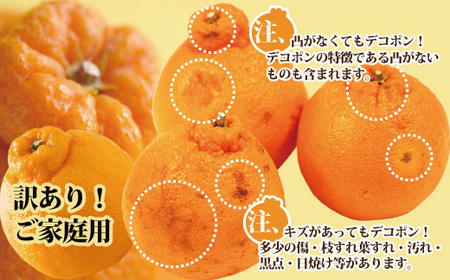 【2027年先行予約】不知火 訳あり しらぬい 約4kg ご家庭用 【2027年3月上旬以降発送予定】 みかん 愛媛 人気 サイズミックス 柑橘 伊予市｜B236