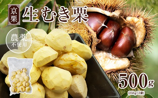 
                  【選べる発送月・11月中旬〜12月】京栗 生むき栗 冷凍  500g（250g×2袋）【 京都 綾部 丹波栗 自然栽培 農家直送 国産 無農薬 果物 フルーツ くり 栗 】 
                