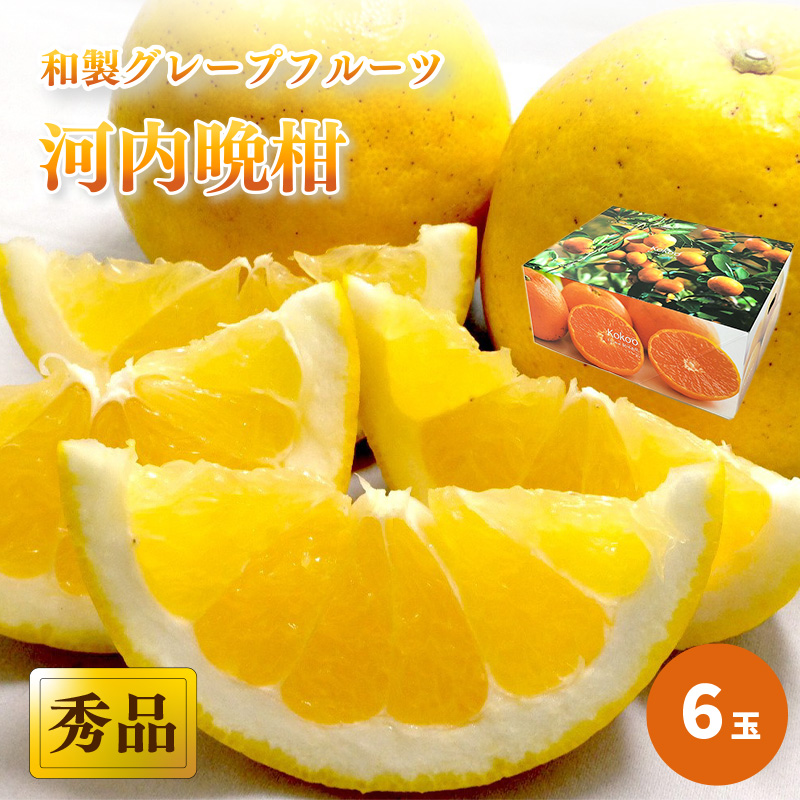 【2025年4月中旬頃から発送】 河内晩柑 秀品 ６玉 ギフトBOX入り｜和製グレープフルーツ 木成り熟成 爽やか みかん ミカン 蜜柑 甘い すっぱい 酸っぱい 酸味 数量限定 期間限定 愛媛県産 甘み 香り 柑橘 松山市 贈答 新鮮