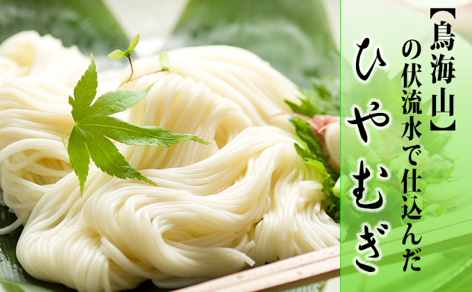 ひやむぎ5束（10人前）の定期便（4ヵ月連続） 麺類 冷麦