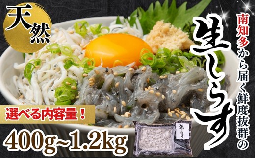 
            【容量 選べる】 生しらす お刺身 約400g~1.2kg 小分け 冷凍 真空パック 便利 簡単 刺身 パック 生しらす シラス 生しらす丼 しらす お刺身 海鮮丼 しらす丼 生しらす 生姜 醤油 お吸い物 生しらす シラス 新鮮 海鮮 ふるさと納税刺し身 魚貝 海産物 魚貝類 海の幸 魚 小魚 さかな ふるさと納税しらす ふるさと納税刺身 しらす 岬だより 人気 おすすめ 愛知県 南知多町
          