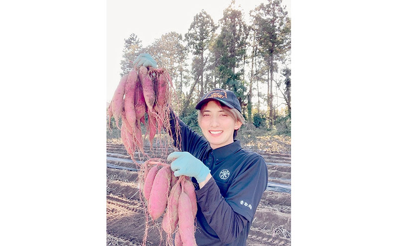 べにはるか5kg　紅はるか サツマイモ さつまいも 芋 千葉県 成田市