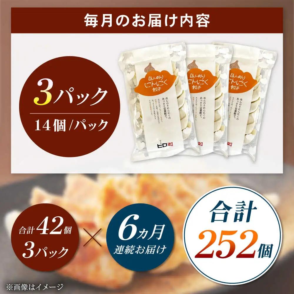 【全6回定期便】【3パック】餃子屋ヒロの ほんのりにんにく餃子 ぎょうざ[BDAS014]