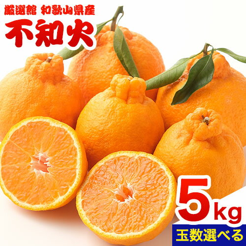 【ふるさと納税】和歌山県産 不知火 選べる 約5kg 厳選館《2月中旬-4月上旬頃出荷》和歌山県 日高川町 デコポン でこぽん 柑橘 不知火 しらぬい 大玉 送料無料