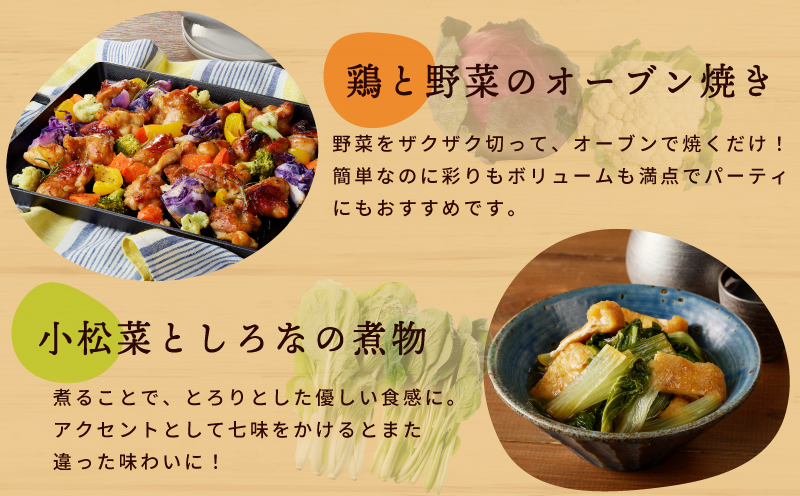 旬の新鮮 野菜セット（15種以上）定期便 全3回 おまかせ ピクルスの素付き ファミリー向け いずみピクルス NSW【毎月配送コース】 099Z278