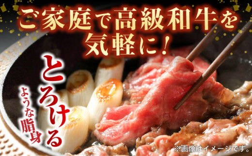 【全12回定期便】葉山牛満腹セット（肩ロースすき焼用250g×2＋切落し300g×2） 国産牛 牛肉 切り落とし 肩ロース 贅沢 セット たっぷり 大容量 1キロ超え 高級和牛 冷凍 黒毛和牛 国産 