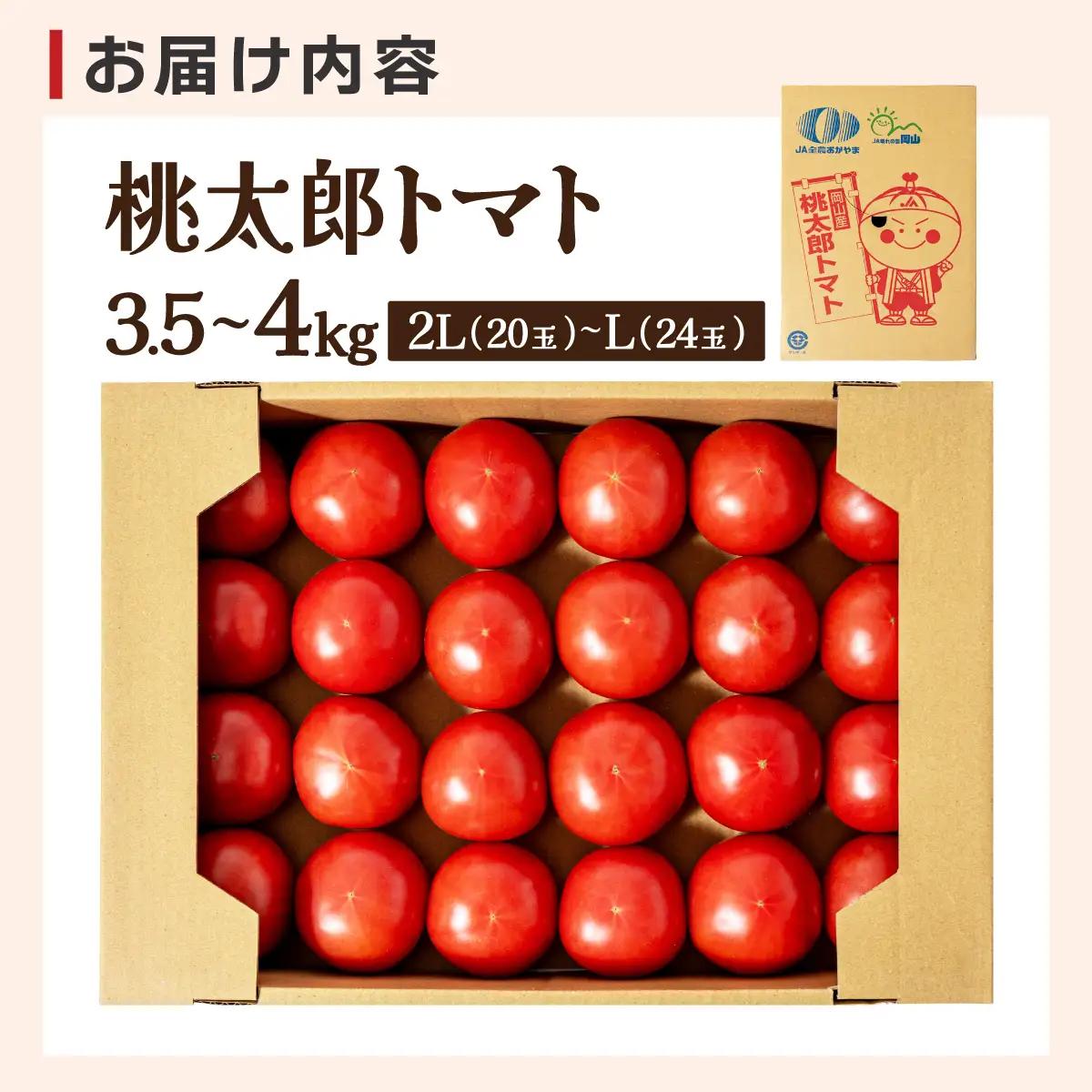 【先行予約】桃太郎トマト　3.5kg～4kg　2L(20玉)～L(24玉)
