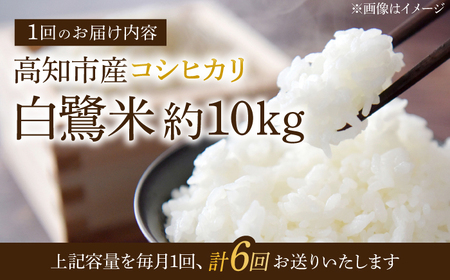 【6回定期便】 R7年度産 特別栽培米 農薬節減！ 白鷺米 コシヒカリ 各約10kg 合計約60kg / 高知 米 精米 　【津ノ宮農園】[ATBV015]