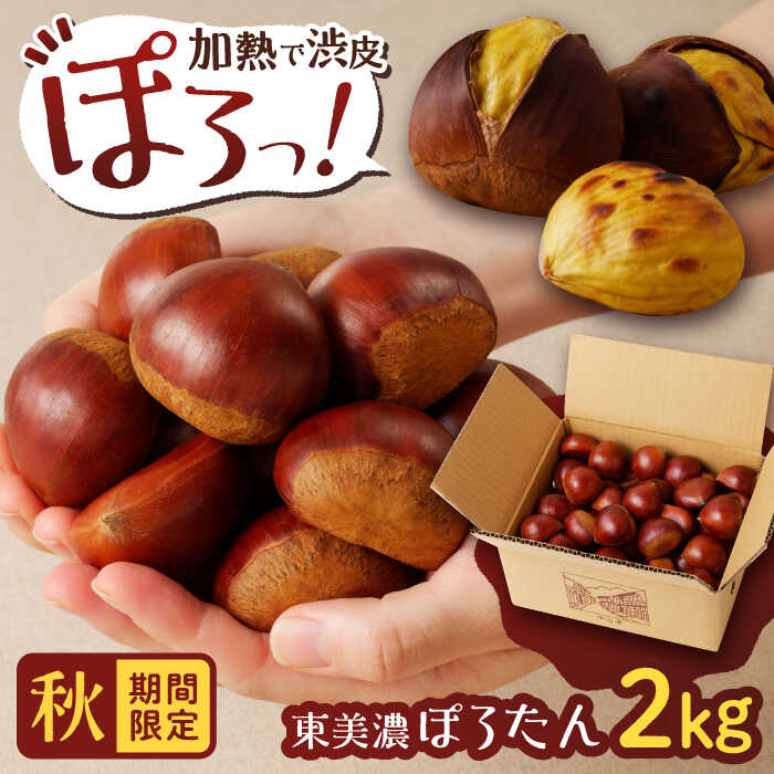 【ふるさと納税】【先行予約】【2025年10月下旬より順次発送】岐阜県産栗「東美濃ぽろたん」 2kg / 栗 くり ぽろたん 生栗 栗きんとん 和菓子 スイーツ デザート お取り寄せ 贈答 ギフト プレゼント/恵那市/ 東美濃農業協同組合[AUDS001]