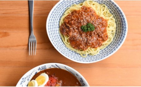 【波佐見焼】natural69カレーパスタ2枚セット ウッズ／ティーズ カレー皿 パスタ皿 北欧 食器 [QA61] 波佐見焼