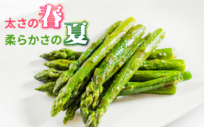 【5回定期便】【星のアスパラ】春＆夏 の グリーン アスパラガス 約1kg / アスパラ 春野菜 野菜 / 南島原市 / ほしのYA [SEY017]