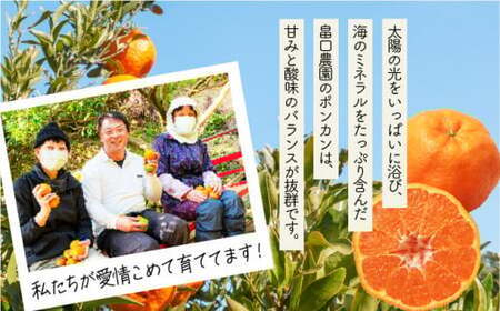 【先行予約】ポンカン 海のミネラルをたっぷり含んだ甲浦のポンカン 5kg〈訳あり〉 国産 東洋町産 訳アリ 甘い 栄養たっぷり ジューシー 果肉 四国 お取り寄せ フルーツ 蜜柑 ミカン 果物 家庭用