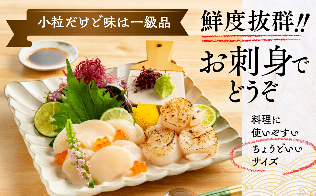 14-256 【訳あり】北海道オホーツク産ホタテ貝柱(生食用)小粒大入 600g ｜ サイズ不揃い ワケアリ 訳あり ほたて ホタテ 帆立 貝柱 玉冷 600g