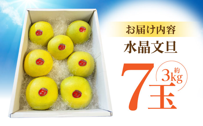 南国土佐の女王柑橘 水晶文旦 約3kg 7玉入り〈2025年9月中旬〜2025年12月下旬頃発送〉/ 文旦 ぶんたん フルーツ 果物 3キロ 高知県 【フルーツショップオザキ】 [ATAH006]