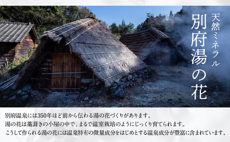 【定期便6回発送】別府温泉湯の花エキス配合　薬用入浴剤　湯躍無垢　6回お届け_B023-011