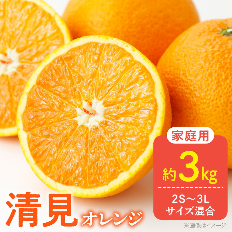 【ふるさと納税】【限定】【2027年先行予約】 ご家庭用 きよみ 清見オレンジ 和歌山 有田 2S 〜 3L サイズ混合 約3kg