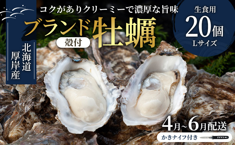 4月～6月配送 厚岸産　殻付カキ Lサイズ20個（生食用）牡蠣