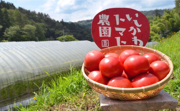 石川農園 みんなで飲もっか！トマトジュースセットＥ
