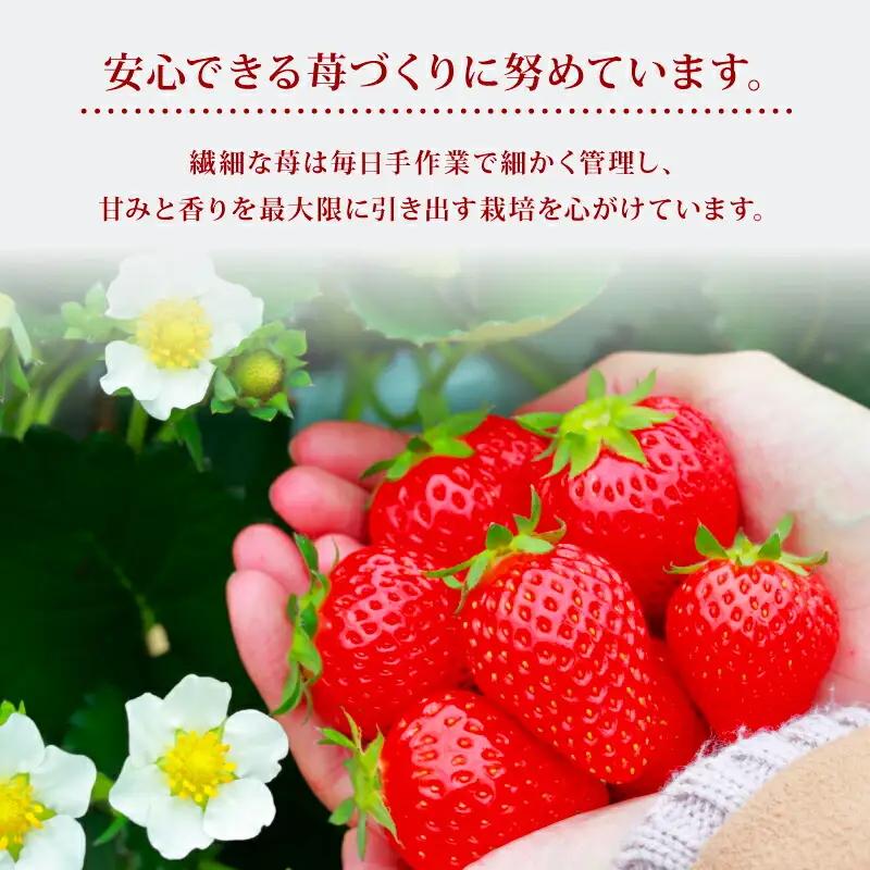 【2027年1月～発送予定】プレミアムセレクト古都華