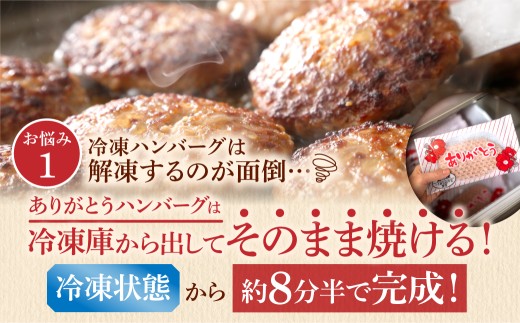 【10月発送】北海道産ありがとうハンバーグセット（ありがとうハンバーグ90g×12・チーズ90ｇ×6）