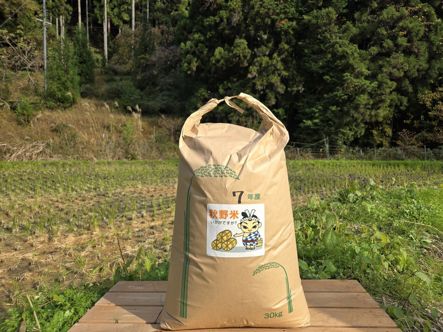 【ふるさと納税】秋野米（玄米30kg・令和7年産）（秋野農園）