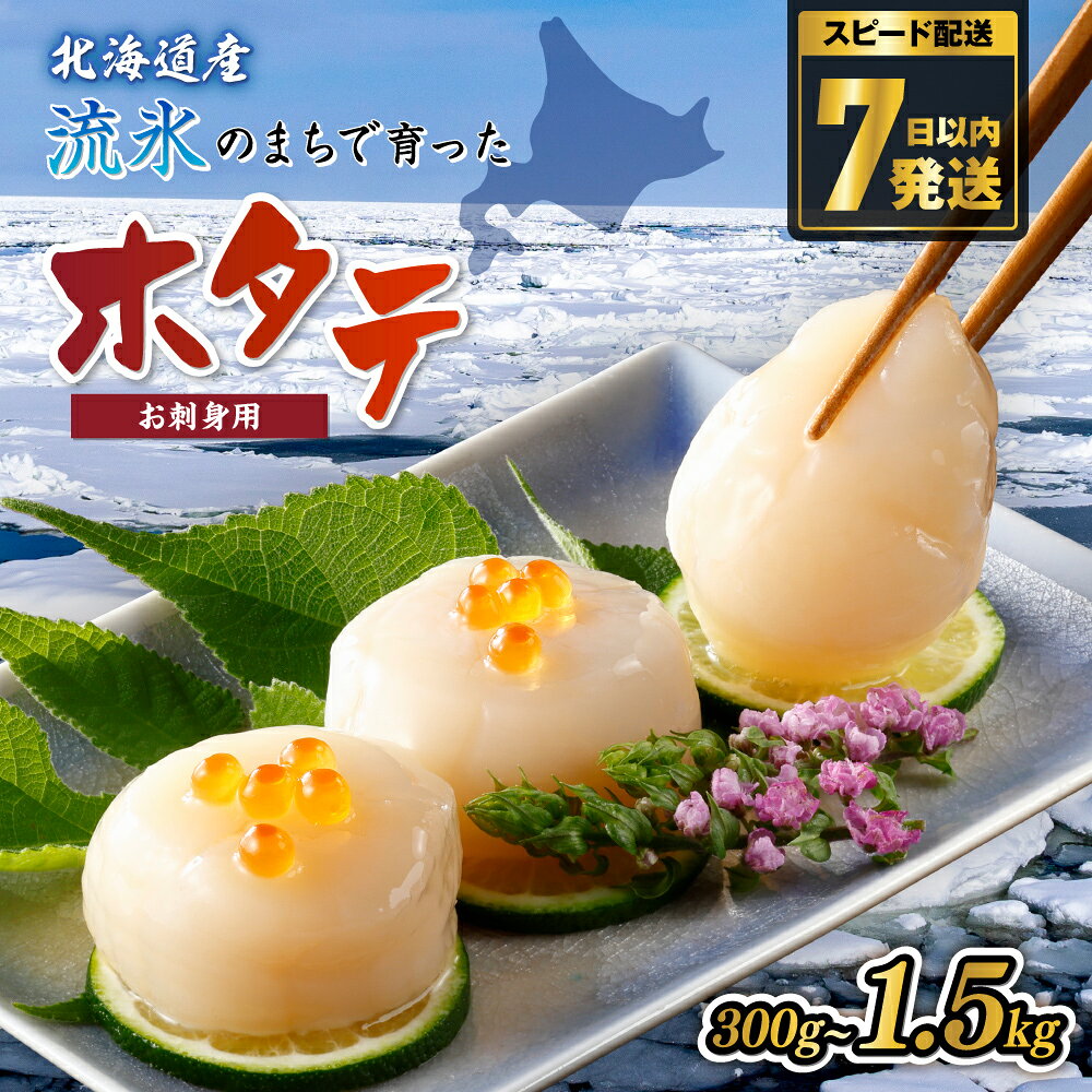【ふるさと納税】ホタテ 大粒【漁場直送 7日以内発送】無添加 選べる 300g ~ 1.5kg 【 ふるさと納税 ホタテ 訳あり ほたて 訳あり ホタテ 北海道 大粒 帆立 貝柱 刺身 人気 不揃い 小分け 無添加 天然 網走市 送料無料 】