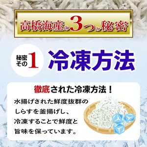釜揚げ しらす 500g 冷凍 鮮度 産地直送 しらす丼 海鮮 海鮮丼 魚介 魚