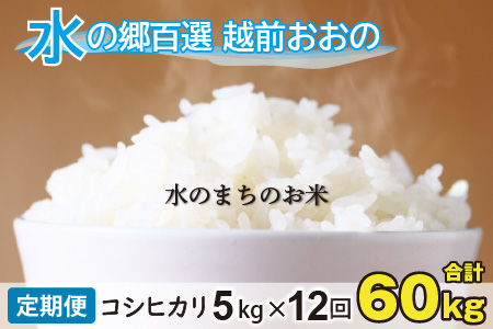 【令和7年産 新米】【12ヶ月定期便】こしひかり 5kg×12回 計60kg【白米】「エコファーマー米」水のまちのお米 [H-003001]