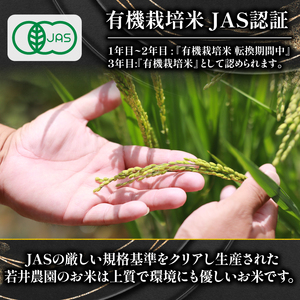 【 プレミアム米 】 令和7年産 新米 夢ごこち 5kg 有機JAS米 転換期間中 夢ごこち 新米 滋賀県 竜王町 若井農園