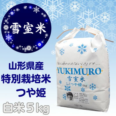 【ふるさと納税】季節限定～雪室米～特別栽培米つや姫 精米【5kg】【1623751】
