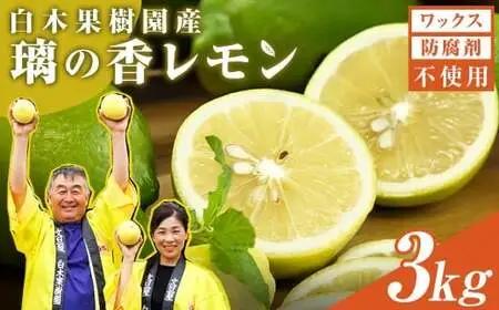 【先行予約】璃の香レモン 約3kg（8〜15個） 高知県土佐市 【株式会社SHIRAKI】 [BQAI025]