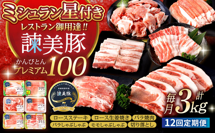 【12回定期便】諫早平野の米で育てた諫美豚プレミアム100お勧めセット3kg / 諫美豚 豚肉 肩ロース ステーキ モモ 切り落とし ハンバーグ ロースステーキ / 諫早市 / 株式会社土井農場 [A