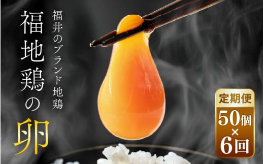 【6ヶ月連続お届け】 福井ブランド 「福地鶏」 の卵 50個 濃厚で甘くておいしい！ （25個入×2段） 定期便 ／ 卵 たまご 鶏卵 生卵 有精卵 高級 高級卵 福地鶏 鶏 平飼い 美味しい こだわり 6ヶ月 定期便 卵かけご飯 料理 あわら市 福井県産 [aw036-h002]