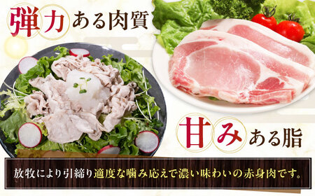 【全3回定期便】【簡易包装】放牧豚 スライス肉3種セット（ロース2種/モモ） ロース モモ 豚肉 とんかつ しゃぶしゃぶ ステーキ 北海道 セット 詰め合わせ[AXBA071]